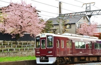 【関西版】住み心地のいい沿線ランキング1位は「阪急甲陽線」　神戸・大阪方面へのアクセス良好