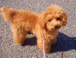 俺 変人なんだよね 自称変人が嫌いな人に賛否両論 真の変人は周り巻き込んでぶち壊す 19年3月31日 エキサイトニュース