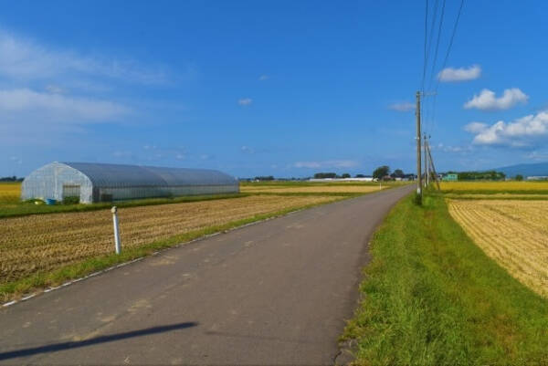 都会より田舎の方が便利 に感じたこと 車で移動できる 駐車場代がかからない 子どもの遊ぶ場所が多い 21年4月日 エキサイトニュース