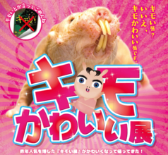 インスタ映え間違いなし！「キモかわいい展」東京ソラマチで開催　「コタケネズミ」など強烈すぎる動物30種類を展示