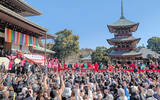 「【写真多数】大河俳優ら「福は内」　團十郎さん親子、横綱も　成田山新勝寺節分会に６万人」の画像1