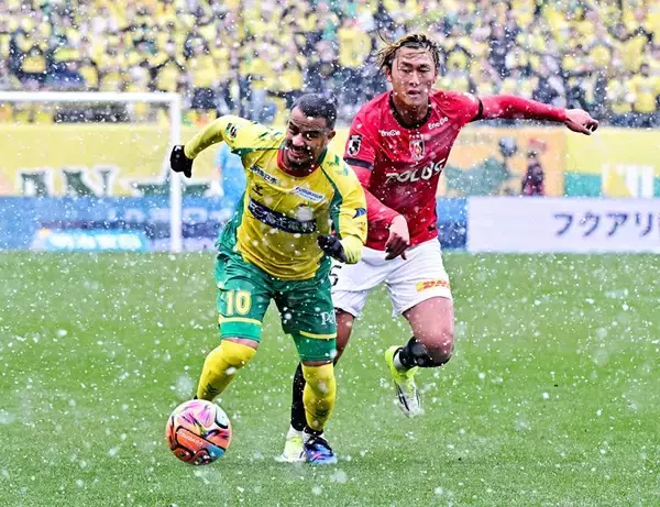 千葉県内、広範囲で降雪　身の安全に注意を　８日未明から昼ピークか　路面凍結恐れも