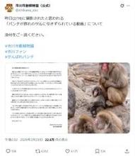 話題のニホンザル「パンチ」にいじめ？　動画拡散で市川動植物園が〝異例〟の声明　「攻撃ではなくコミュニケーション」