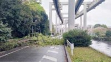 【速報】千葉で倒木も…県内で強風や高波、急な強い雨、落雷に注意　気象庁