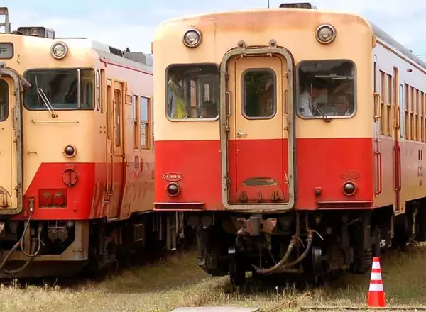 【速報】小湊鉄道が終日運休　上総牛久―上総中野間　雪による倒木影響