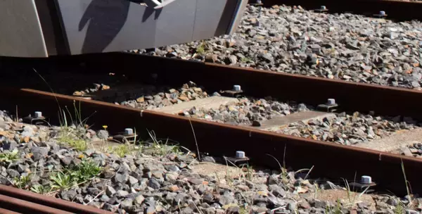 【速報】ＪＲ内房線で一部運休　倒木と接触、午後０時半ごろに再開見込み