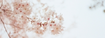 2021春ドラマ、ジャニーズ出演総まとめ！