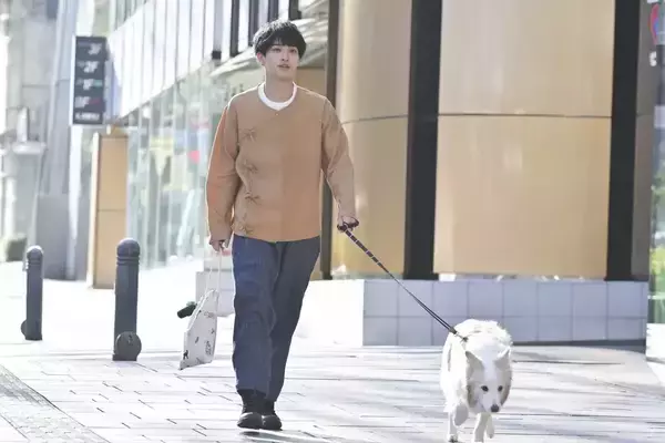 「「着飾る恋には理由があって」全10話のネタバレ感想：横浜流星に好きだよって言われたい人生だった」の画像