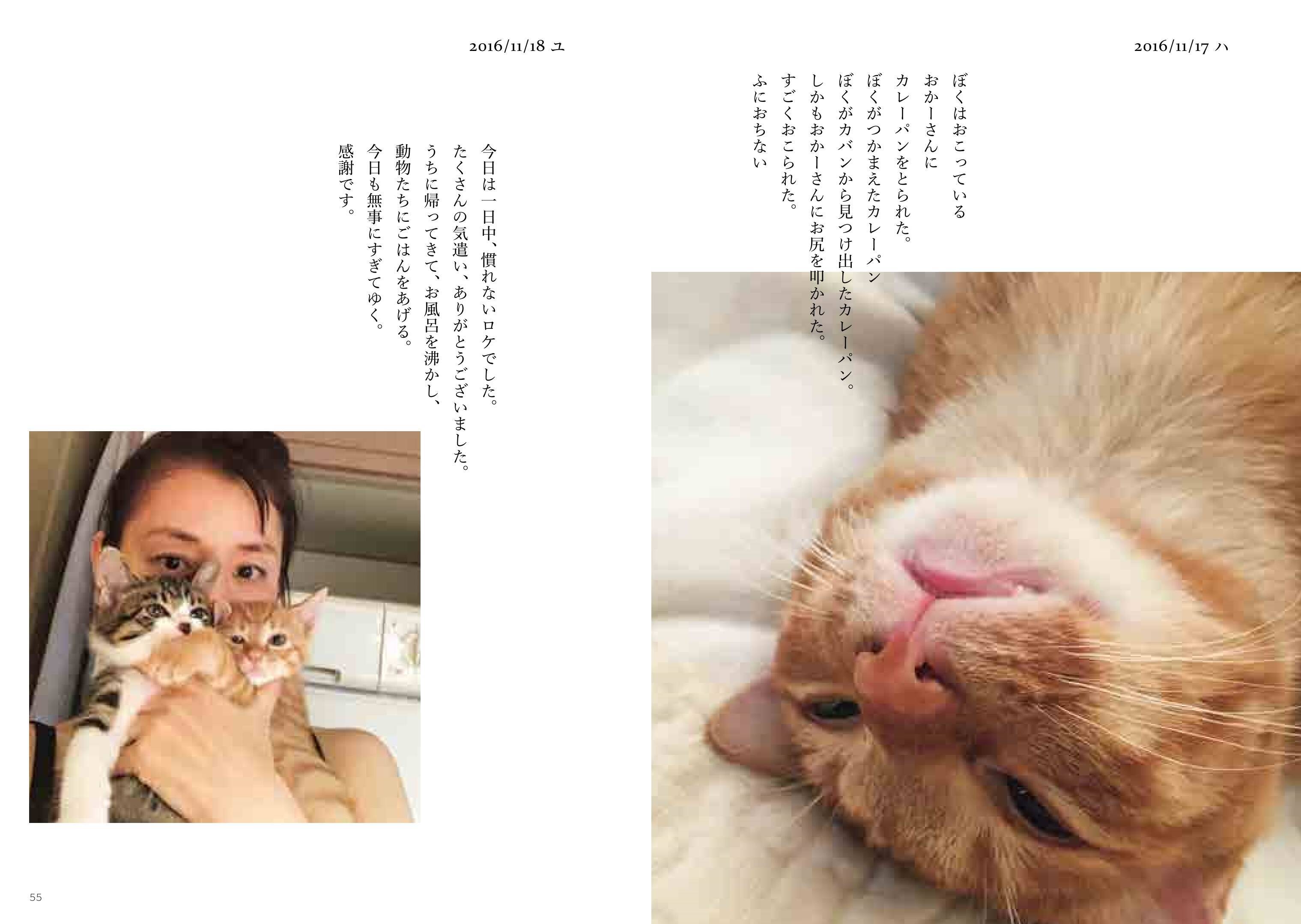 石田ゆり子 動物たちとの日々の記録 ハニオ日記 全3巻同時発売 印税は保護犬 猫へ エキサイトニュース