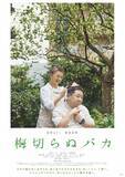 「〈新作紹介〉『梅切らぬバカ』加賀まりこの全てが”映画”であるとしか言いようのない素晴らしさ」の画像1
