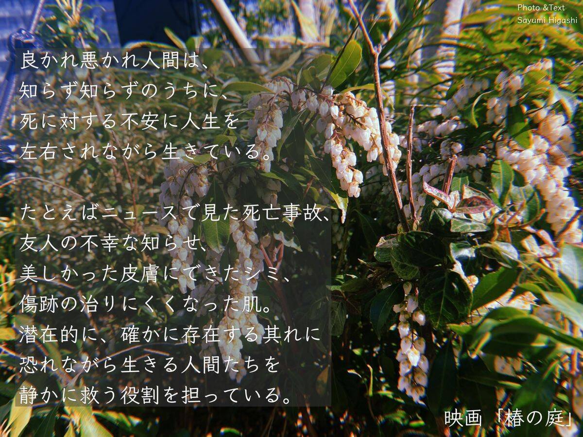 身体が底から欲していた、1/f 揺らぎ映画『椿の庭』｜東紗友美の"映画の読みかた"