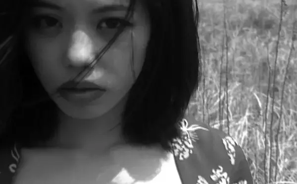 YEN TOWN BAND“Swallowtail Butterfly 〜あいのうた〜”30年前のMV公開
