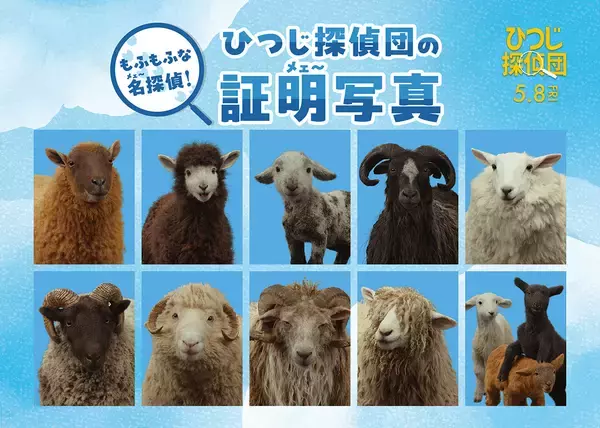 「『ひつじ探偵団』日本語吹替版声優に山路和弘ら＆ひつじたちのプロフィールも公開」の画像