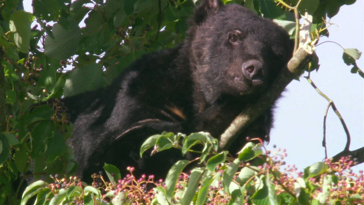 NHK『クロ現』年末拡大SPが12月22日放送。山里亮太、石山アンジュと激動の1年を読み解く
