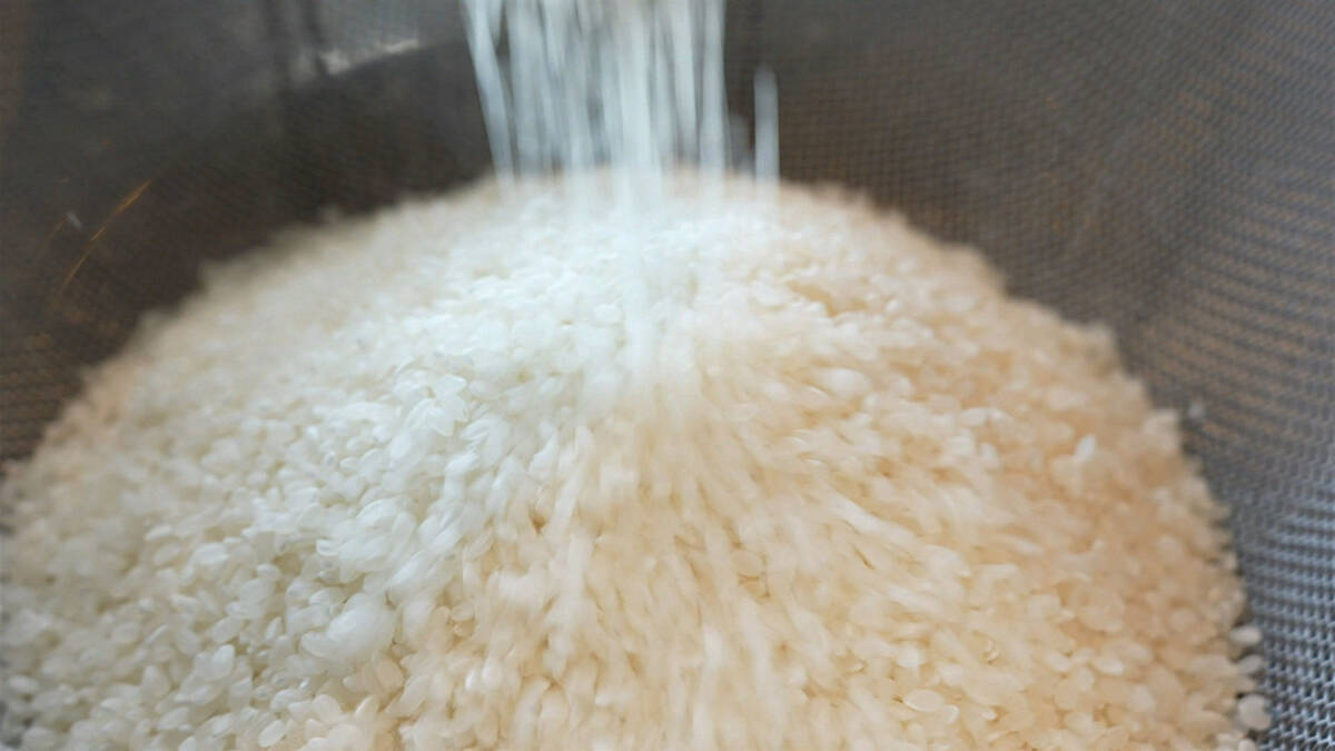 NHK『クロ現』年末拡大SPが12月22日放送。山里亮太、石山アンジュと激動の1年を読み解く