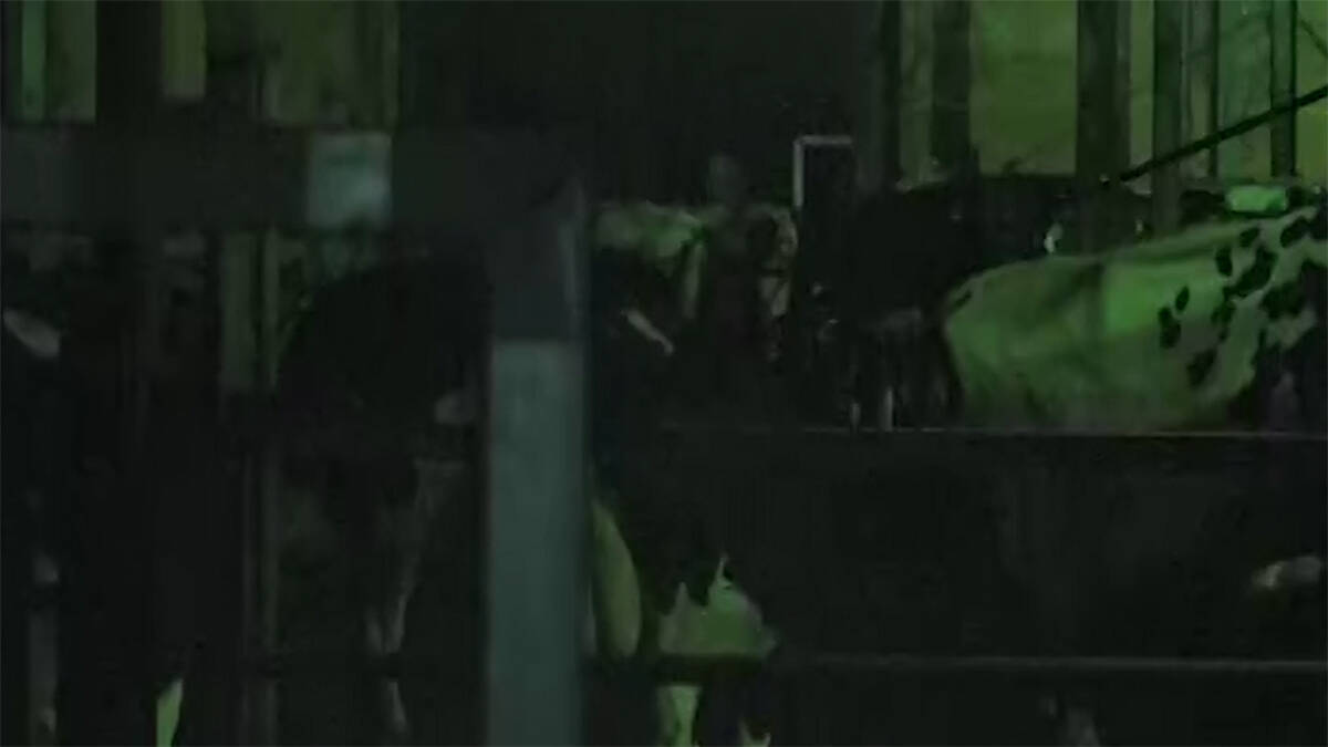 大森時生プロデュース『TXQ FICTION』第4弾『UFO山』が12月22日からテレ東で4夜連続放送