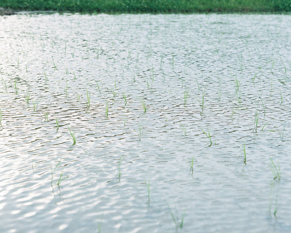 新進写真家発掘フォトコンテスト『ZOOMS JAPAN』グランプリは丹野雄二『身土不二』