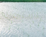 「新進写真家発掘フォトコンテスト『ZOOMS JAPAN』グランプリは丹野雄二『身土不二』」の画像10