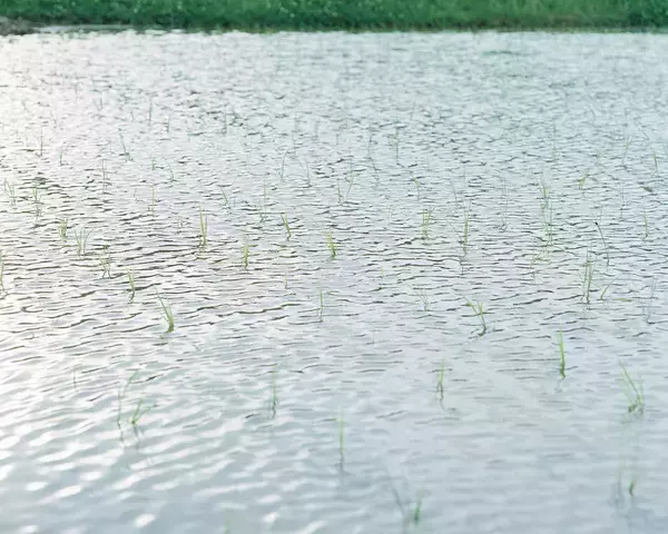 「新進写真家発掘フォトコンテスト『ZOOMS JAPAN』グランプリは丹野雄二『身土不二』」の画像