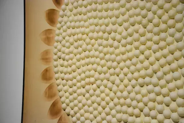 「美術史から「見落とされた」女性作家14人を再発見。時代に挑む『アンチ・アクション展』レポ」の画像