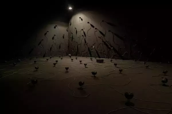 「暗闇のなかで耳を澄まして、音の世界に入り込む。個展『evala　現われる場　消滅する像』をレポート」の画像