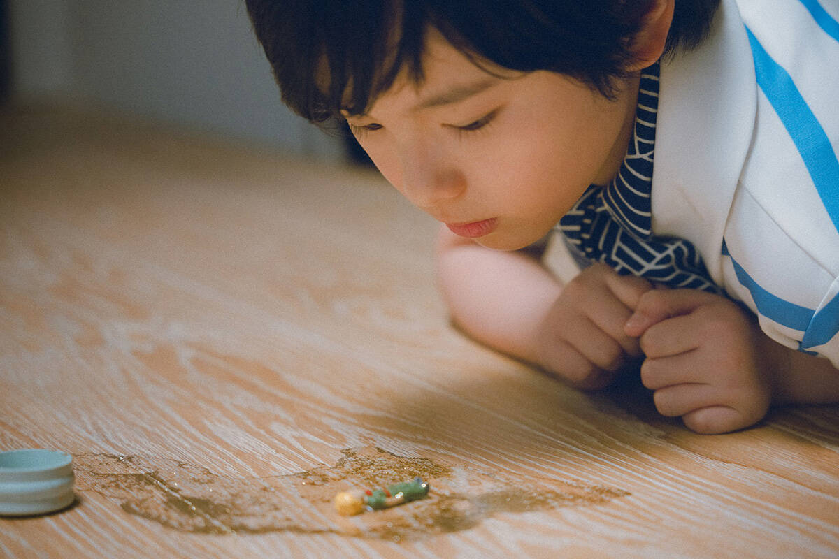 是枝裕和監督『箱の中の羊』5月29日公開。綾瀬はるか＆千鳥・大悟の息子役は桒木里夢