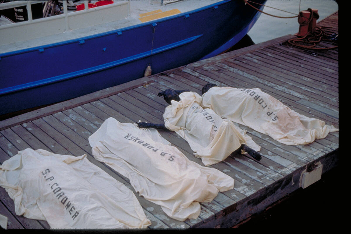 映画『ユージュアル・サスペクツ』が3月6日より2週間限定で全国リバイバル上映