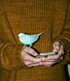 「當真あみ出演。映画館のスクリーンを活用したアパレル「SCRE:EN」第3弾ムービー公開」の画像9