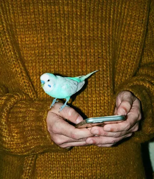 「當真あみ出演。映画館のスクリーンを活用したアパレル「SCRE:EN」第3弾ムービー公開」の画像