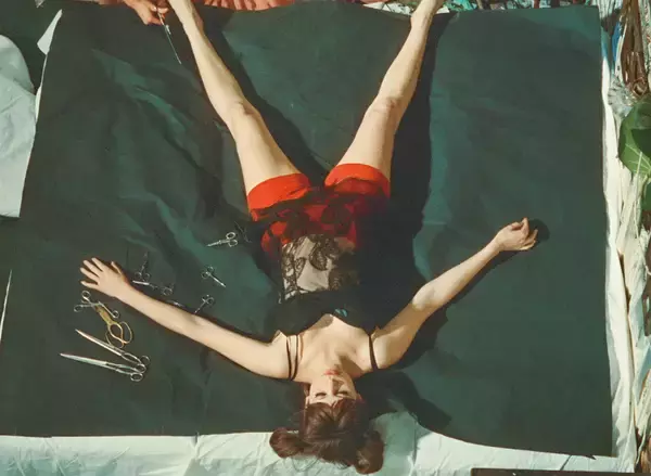 「映画『ひなぎく』本編映像公開。60年代チェコ・ヌーヴェルヴァーグの傑作が4Kレストアで甦る」の画像