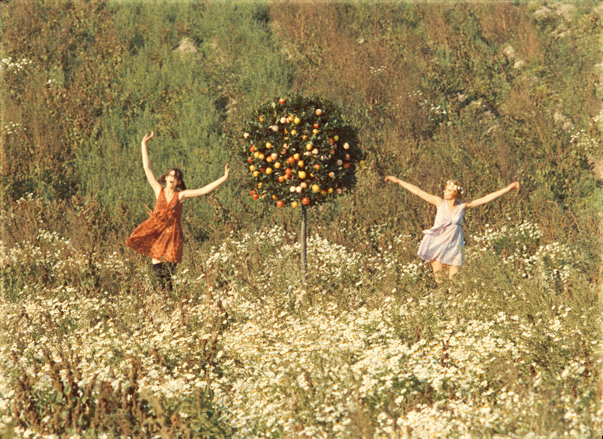 映画『ひなぎく』本編映像公開。60年代チェコ・ヌーヴェルヴァーグの傑作が4Kレストアで甦る