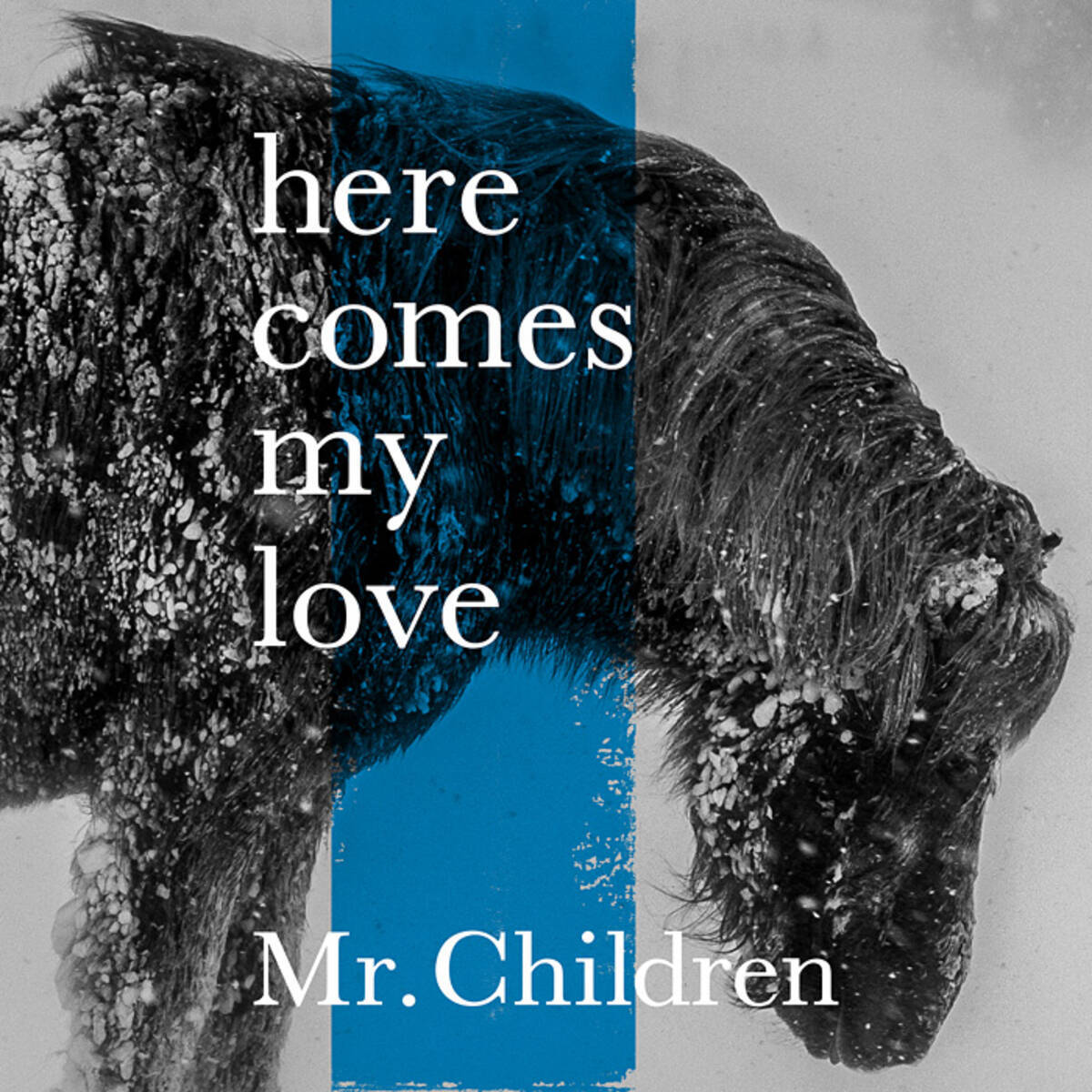 Mr Children新曲 Here Comes My Love 短編映像公開 ある男の記憶の物語 18年2月9日 エキサイトニュース