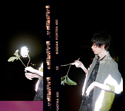 菅田将晖米津玄师