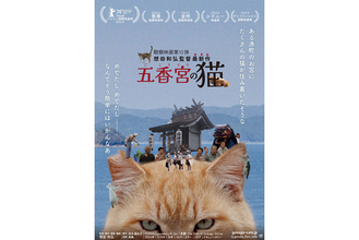 想田和弘監督の映画『五香宮の猫』が10月19日公開。メインビジュアル到着