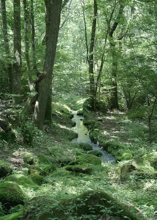 「地方移住と働き方改革を牽引してきた「富士見 森のオフィス」10周年記念書籍『十草十載』刊行」の画像