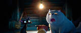 「ディズニー＆ピクサーが贈る、黒猫が主人公の映画『水の都のネロ』2027年春公開」の画像2