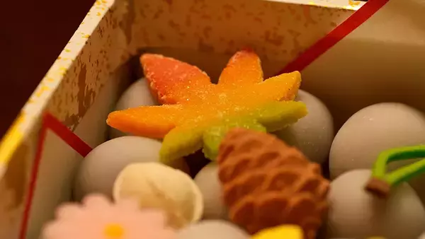 「櫻井翔が「わが町の宝」を探索。NHK『世界がほれた　絶品！翔ケース』が1月6日放送」の画像