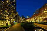 「東京ミッドタウンで『MIDTOWN CHRISTMAS』開催中。江﨑文武による演奏も」の画像2