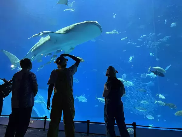 「のん、サメの世界に足を踏み入れる。『ギョギョッとサカナ★スター』拡大版サメSP」の画像