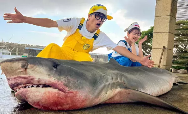 「のん、サメの世界に足を踏み入れる。『ギョギョッとサカナ★スター』拡大版サメSP」の画像