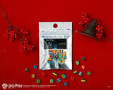 「『ハリー・ポッター』の世界観をモチーフにしたコラボキャンディがパパブブレから登場」の画像2