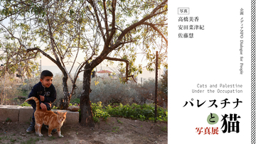 高橋美香、安田菜津紀、佐藤慧の写真展『パレスチナと猫』10月8日からキャッツミャウブックスで開催