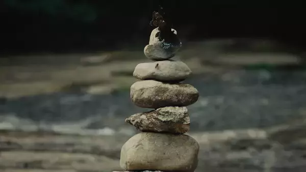 「家族の「平和維持役」だった経験をもとにした『グッドワン』。「いい子」からの解放と苦悩とは。監督に聞く」の画像