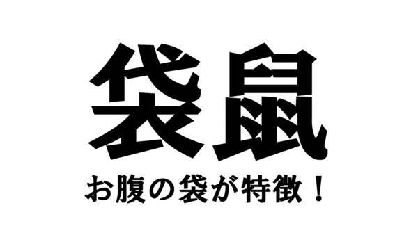 中国語クイズ 袋をもつ鼠とは 漢字から意味を推測できますか 21年4月23日 エキサイトニュース