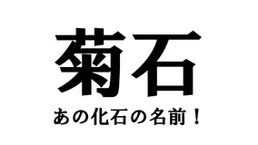 コーヒー の漢字 中国語は 口偏 なのになぜ日本では 王偏 なの 21年7月8日 エキサイトニュース