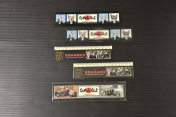 のむけん なめんなよ と今年もゴロニャンです D1gp 11 11年4月5日 エキサイトニュース