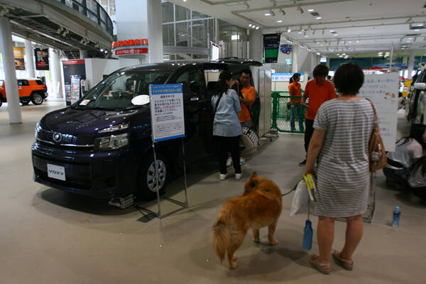トヨタが犬とクルマのカーライフを提案 Dogサークルがスタート 12年10月2日 エキサイトニュース