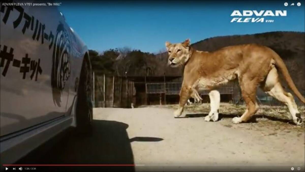 ドリフトしながら園内を巡視する動物園があった 動画 16年7月日 エキサイトニュース