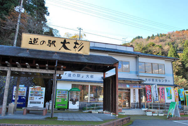 昭和の大スター 美空ひばりさんも願掛けした大杉に会いに行こう 高知 車中泊女子の全国縦断記 17年11月19日 エキサイトニュース