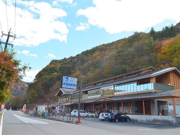 水陸両用バスでゆく 湯西川ダム湖探検ダックツアー 栃木 車中泊女子の全国縦断記 17年11月日 エキサイトニュース